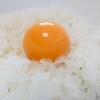 【料理】冷凍卵の卵かけご飯