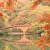 紅葉シーズンに訪れたい絶景スポット「碓氷湖（うすいこ）」｜2024年見頃の時期、紅葉状況、所要時間、アクセス、駐車場、トイレ（群馬県安中市）