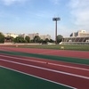 【週報９週目】スピード練中心の2019/05/20週
