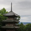 冥府の法廷のある山崎・宝積寺の探椿記