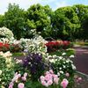 top 10 real-time searches 2024/5/25, 16:38