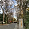 農工大でサザンカ2021