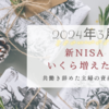 新NISA、いくら増えた？【2024年３月】