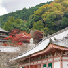 奈良の隠れたパワースポット、壷阪寺でペットと心の旅