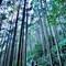 【世界遺産】熊野古道中辺路、お料理が最高の宿