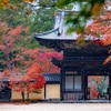 京都・高雄 - 晩秋の知らせ 錦色の神護寺