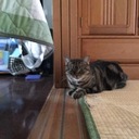 何も持ってない私だから、
