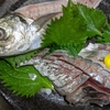 【タクうま】房総アジがうまい店・アジのさんが焼き御膳「磯の香亭」千葉県館山市！タクシー運転手さん一番うまい店に連れてって【7月3日】