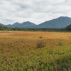 草紅葉が見ごろとなった小田代原に写真を撮りに行く