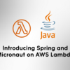 AWS LambdaにおけるJava実装時のSpringとMicronautの比較