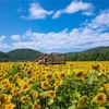 夏休みの宿題の思い出。