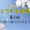 どうする家康 第8-9回 感想 三河一向一揆で家康vs本多正信