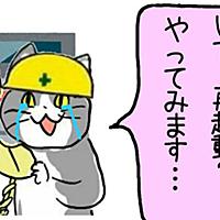 現場猫とは ウェブの人気 最新記事を集めました はてな