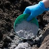 粘土質の土壌改良の資材にはパーライトや米ぬかがおすすめ！