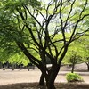 こどものチカラ