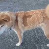 11月になっちゃった…