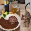【カレー】台北：猫のいるカレーカフェ！「喵胃Meowway」@北投明徳