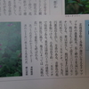 ご存じですか？馬鹿の花(ハマゴウ)