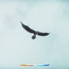 MadeWithUnity探検隊！　巨大鳥に跨り、空を翔けろ！ "Falconeer" レビュー