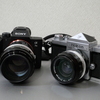 散歩写真