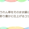 ほうれん草をそのまま鍋に！時短で彩り豊かに仕上げるコツまとめ
