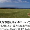 023 ヘイアウを造る：(1) モオキニ(ハワイ島ノース･コハラ)