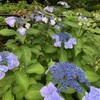 6月20日大事件発生というアーナンド予言は