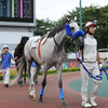 大井競馬 with ワイフ