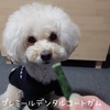 ～愛犬の歯磨きガム・プレミールデンタルコートガム～