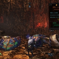 Mhw Steam版のメリットとデメリット しがなさが溢れていく