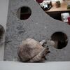 あいちんタワー最上段を上から見ると