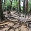 大阪でのイベント前にふと思い立ち鞍馬山で登山