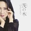 小林幸子「茨の木」