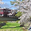 【阪急電車】関西の鉄道×桜