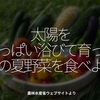 1757食目「太陽をいっぱい浴びて育った旬の夏野菜を食べよう」農林水産省ウェブサイトより