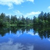 真夏の大雪高原温泉沼めぐり_2：ヒグマにおびえながらめぐる美しき沼