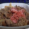 日3丼