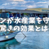 オゾンが水産業を守る！その驚きの効果とは！？