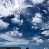 久しぶりの青空