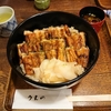 あなご丼