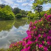 【京都】『京都仙洞御所』　「京都御所」「大宮御所」庭園