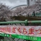 恩田川さくら祭り2025　1日目