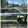 新緑の季節がやってきました♪