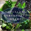 アクアリスト必見！個性豊かな10種類のアヌビアスを紹介！