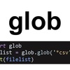 【第9回】globを用いたファイル名のリストの取得