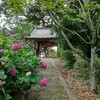 雨のやみ間に 長岳寺