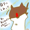 占ってみた20240810