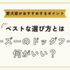 シーズーのドッグフード何がいい？ベストな選び方と愛犬家がおすすめするポイント