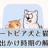 ハートピアスローライフで犬と猫はいつからお出かけできる？時期の噂と注意点まとめ