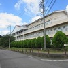 夏休みの学校⑦　ヒマワリ・ヘチマの花